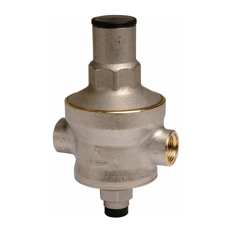 RBM - Détendeur à membrane Rinox ff - 3/4'