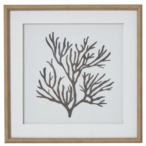 Reef Coral Art Mounted in Beaded Frame - Glass - L2 x W40 x H40 cm - Brown