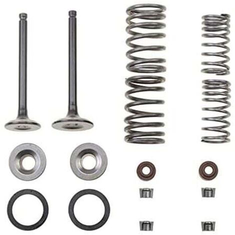 Reemplazo del conjunto de válvula Caster de 66 mm para Taotao Rocketa Sunl Mini ATV Quad Motor de 70 cc, 90 cc y 110 cc, Pit Bike de bolsillo horizontal, Dirt Bike