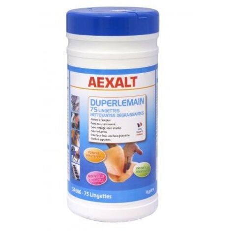 REFLAEX - Salviette per la pulizia delle mani e delle superfici - Scatola da 75 - AEXALT- SA606