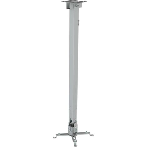 Reflecta Tapa Support plafond pour projecteur Distance sol/plafond (max.): 120 cm argent