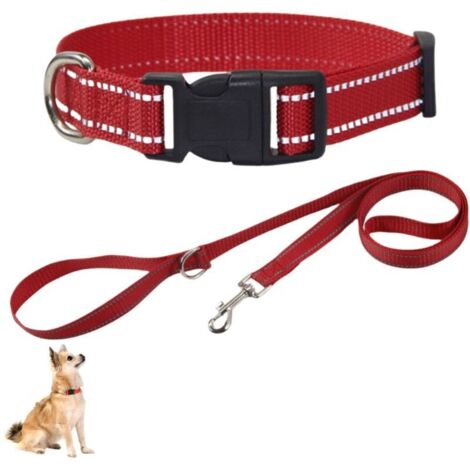 Reflective nylon collar for small dogs