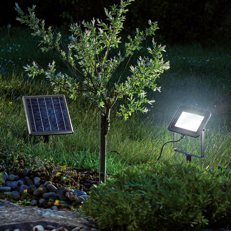 

Reflector solar con LED blanco frío para decoración de jardín 102702 - Esotec