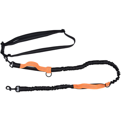 Reflektierende, einziehbare Hundeleine, tragbar und verstellbar, sicherer Halt, leuchtend orange Farbe.