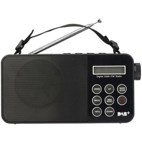 Dab +/dab Radio portatile, Radio digitale e Radio FM, Radio Dab