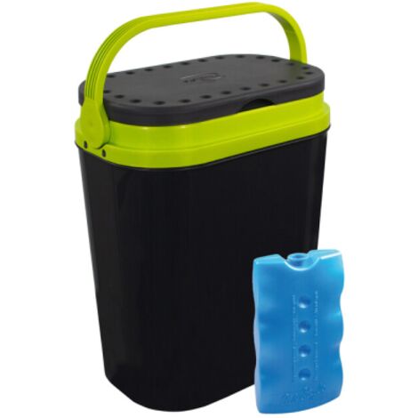 Re'frige'rateur portable Solaris 12 litres pour aliments et boissons avec 1 bloc de glace de 400 g de couleurs assorties