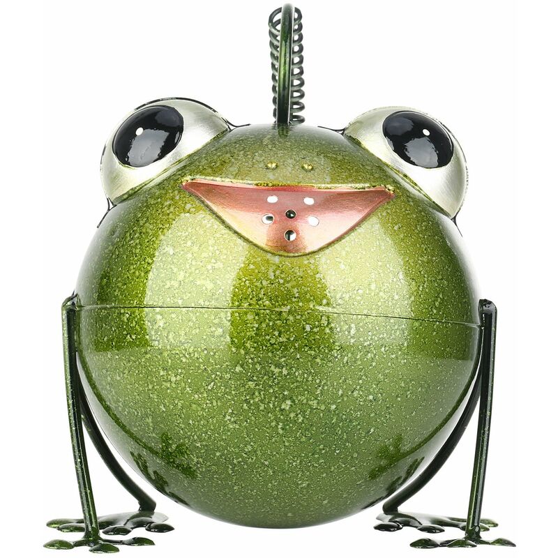 

Tooarts - Regadera de rana de dibujos animados, regadera de animales de hierro, decoracion de jardin de cuento de hadas
