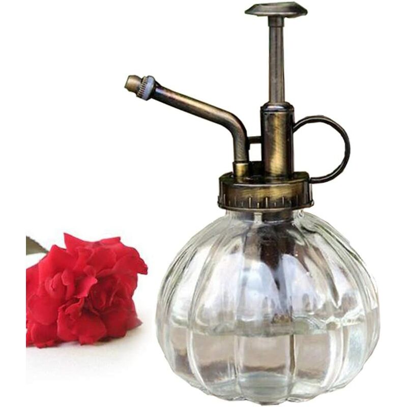 

Regadera vintage de vidrio y latón con bomba en la parte superior.Para flores bonsai en estilo retro, color transparente