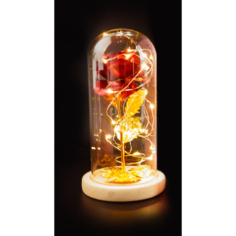 

Asupermall - Regalo del dia de vidrio cubierta interna se elevo de bricolaje decoracion de la lampara LED romantico pequena de la noche de San