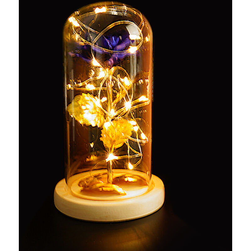 

Asupermall - Regalo del dia de vidrio cubierta interna se elevo de bricolaje decoracion de la lampara LED romantico pequena de la noche de San