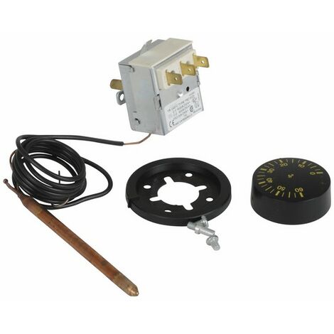 Regelungsthermostat mit Fühler IMIT Typ TR 2 0-60deg