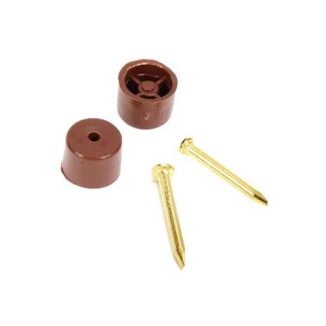 Reggipiano Marrone Con Chiodo Ottonato Pz.20