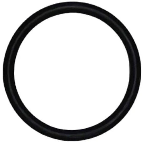 Regiplast 112165 Guarnizione O-Ring Per Tubo di Caccia