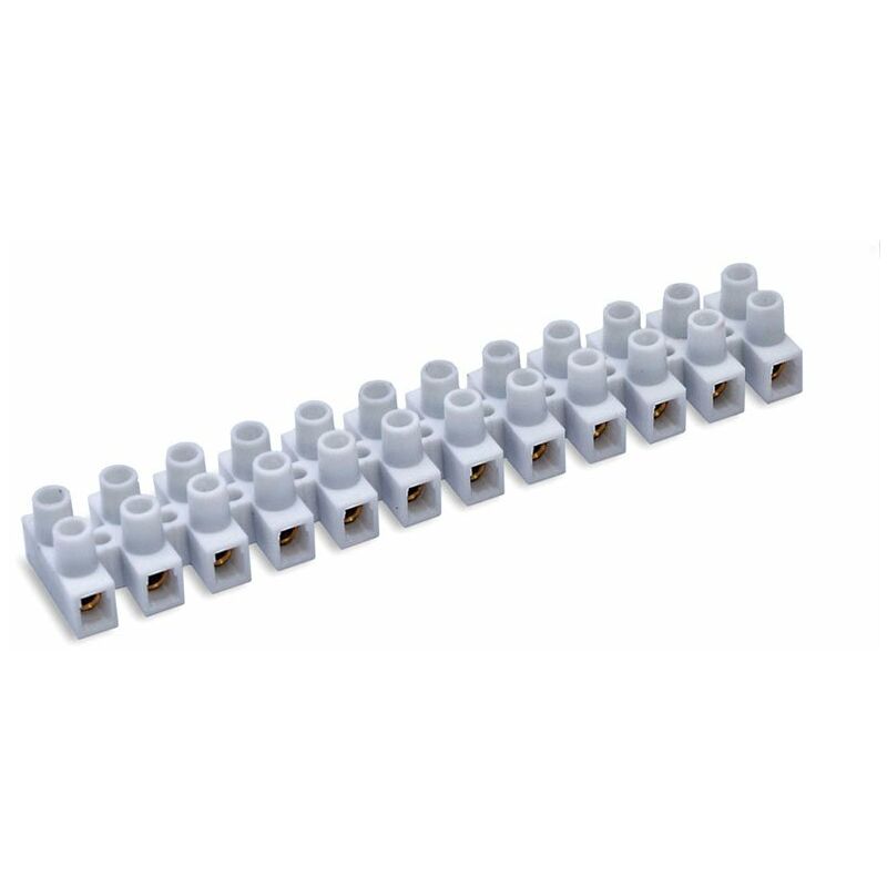 

Regleta Conexion 6Mm 41A Bl. Duolec