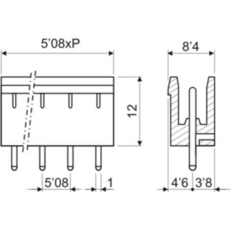 Regleta Conexion Macho C.I.  2Pin Paso 5,08mm