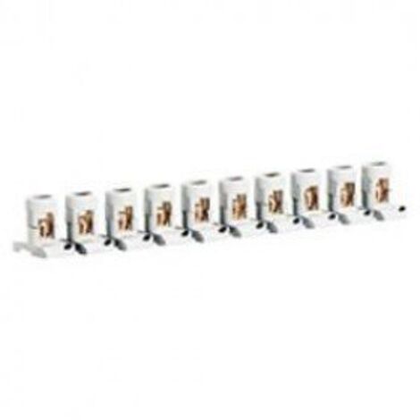 Regleta de paso separable 10 bornas 2x25mm LEGRAND 34003