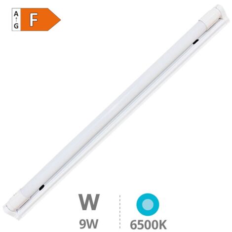 Regleta T8 con Tubo 600mm 8W 6500K - IP20