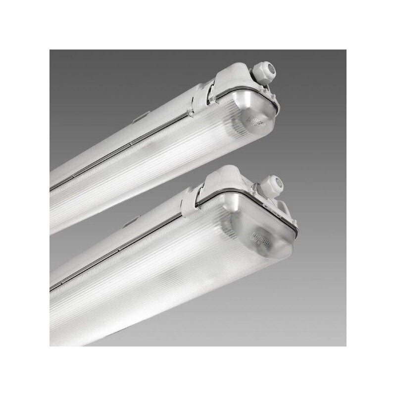 Reglette etanche fluo 2x28W grise avec reflecteur 1300x99x152mm pour tubes T5 (non incl) culot G5 230V IP66 IK08 hydro Disano