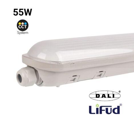 Réglette LED étanche enchaînable - Dimmable DALI - CCT - 150cm -