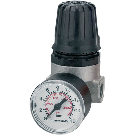 REGOLATORE DI PRESSIONE PER COMPRESSORE '31/A4' 2 vie - att. 1/4 F  - ANI
