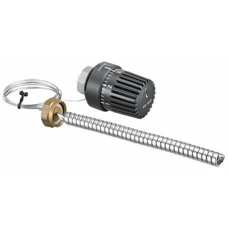 REGOLATORE DI TEMPERATURA ACS PER REGUDIS W (sost. 1343091)