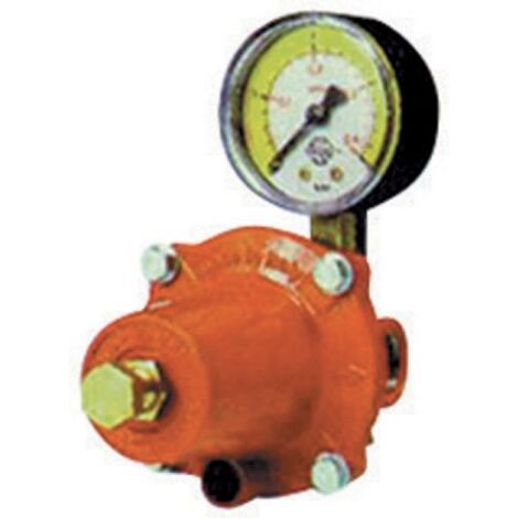 REGOLATORE GPL DI ALTA PRESSIONE CON MANOMETRO MOD. APZ250 kg. / h 30