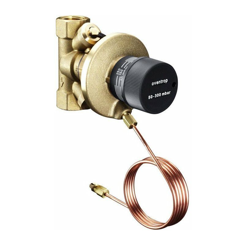 

Regulador De Presion Dif. Hycocon Latón Ff Dn25