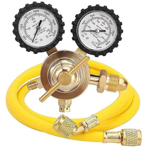 Régulateur d'azote avec pression de distribution de 0 à 600 PSI (voir illustration)
