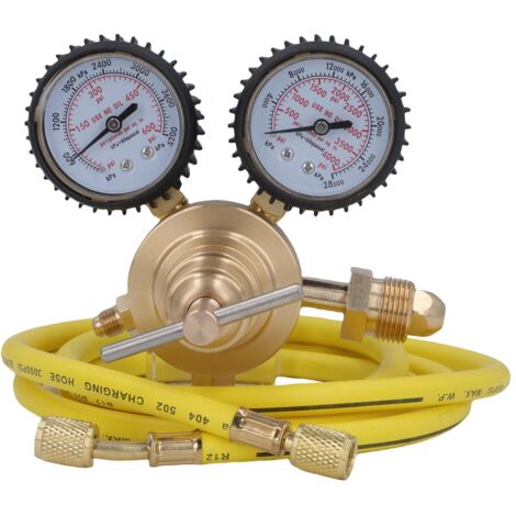 Régulateur d'azote CGA580, entrée 0-600 PSI, sortie 1/4 pouces, connexion mâle, gaz en laiton avec 60 tuyaux