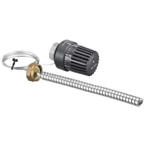 REGULATEUR DE TEMP.ECS POURREGUDIS W(rempl.1343091)