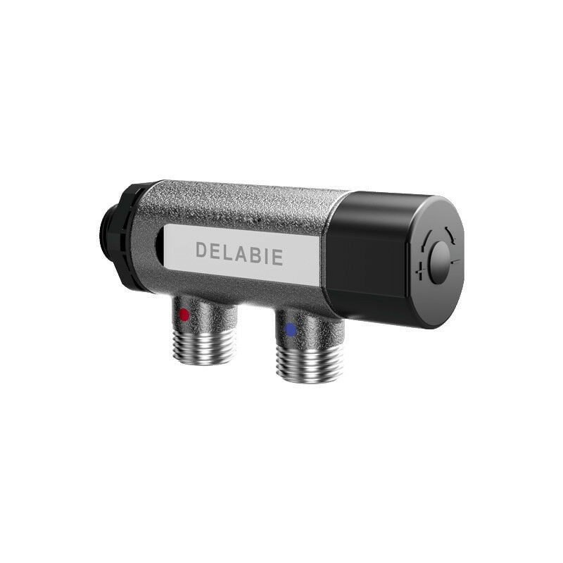 Delabie - Mitigeur thermostatique premix compact M1/2 corps brut