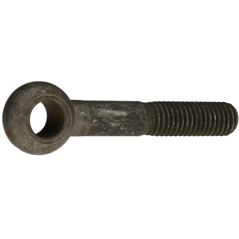 Reidl DIN 444 Augenschrauben Form B, M 20 x 100 4.6 blank, Augen-Ø 40 mm
