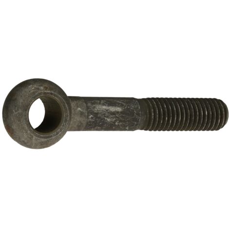 Reidl DIN 444 Augenschrauben Form B, M 20 x 130 4.6 blank, Augen-Ø 40 mm