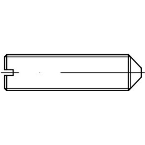 Reidl DIN 553 Gewindestift M16x50, mit Schlitz/Spitze, A4 blank