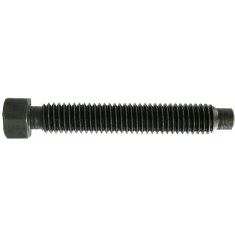 Reidl DIN 561 Sechskantschraube mit Zapfen Form A 24x70 8.8 blank