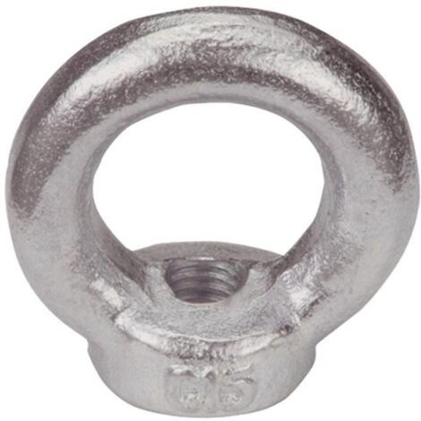 Reidl DIN 582 Ringmuttern M 12, A2 blank