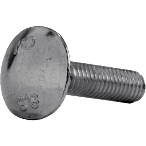 Reidl DIN 603 Flachrundschr. Vierkantansatz M 12 x 100 8.8 verzinkt, ohne Mutter