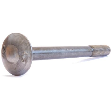 Reidl DIN 603 Flachrundschr. Vierkantansatz M 12 x 140 4.6 blank, mit Mutter