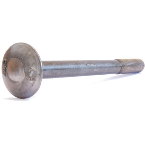 Reidl DIN 603 Flachrundschr. Vierkantansatz M 16 x 55 4.6 blank, mit Mutter
