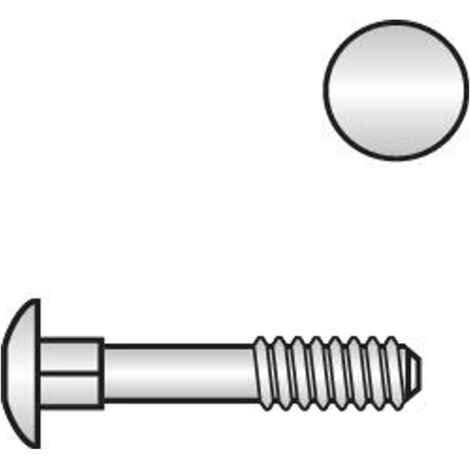 Reidl DIN 603 Flachrundschr. Vierkantansatz M 5 x 25 Messing blank, ohne Mutter