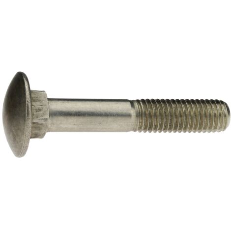 Reidl DIN 603 Flachrundschr. Vierkantansatz M10 x 180, A2 blank, ohne Mutter