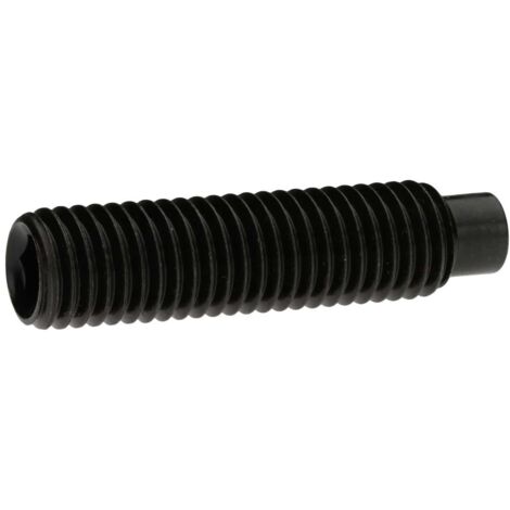 Reidl DIN 6332 Gewindestift M16x75, mit Innensechskant/Druckzapfen, 5.8 brüniert
