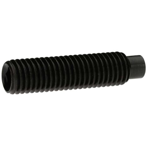 Reidl DIN 6332 Gewindestift M20x125, mit Innensechskant/Druckzapfen, 5.8 brüniert