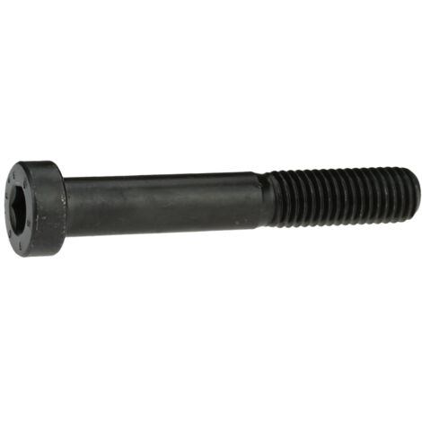 Reidl DIN 7984 Zylinderschraube 20x110mm Stahl 8.8 blank niedriger Kopf Innensechskant