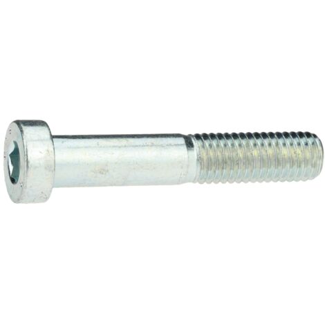 Reidl DIN 7984 Zylinderschraube 24x100mm Stahl 8.8 verzinkt niedriger Kopf Innensechskant