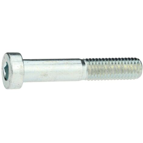 Reidl DIN 7984 Zylinderschraube 24x80mm Stahl 8.8 verzinkt niedriger Kopf Innensechskant