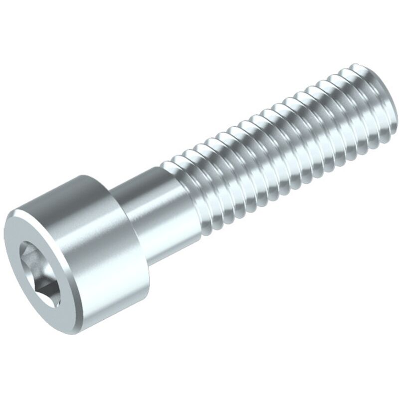 Reidl Din 912 Zylinderschraube, Innensechskant M 20 X 210 10.9 Verzinkt