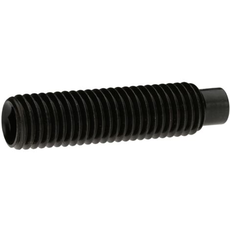Reidl DIN 915 Gewindestifte M20x35, mit Innensechskant/Zapfen, 45 H blank