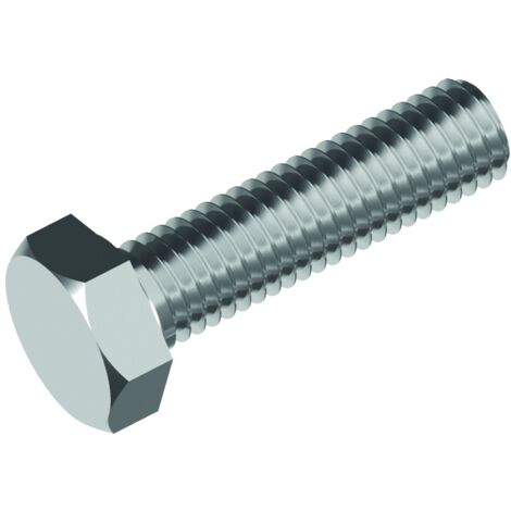 Reidl DIN 933 Sechskantschraube mit Gewinde bis Kopf M 10 x 100 A4-80 blank