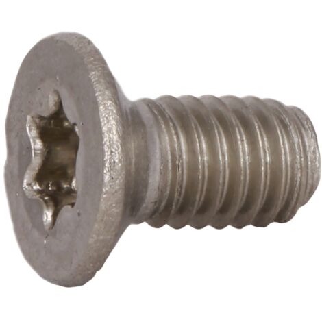 Reidl DIN 965 Senkschrauben M 10 x 55, Torx, A2 blank